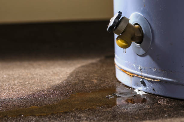 Best Commercial water damage restoration  in Belmont, VA