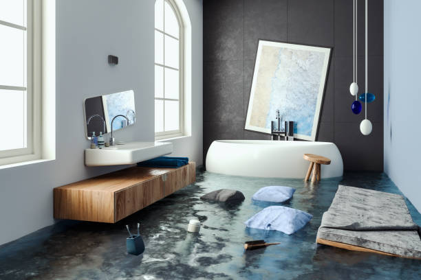 Best Professional water damage repair  in Belmont, VA