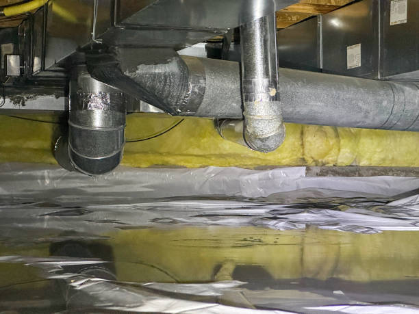 Best Sewage cleanup and water damage restoration  in Belmont, VA