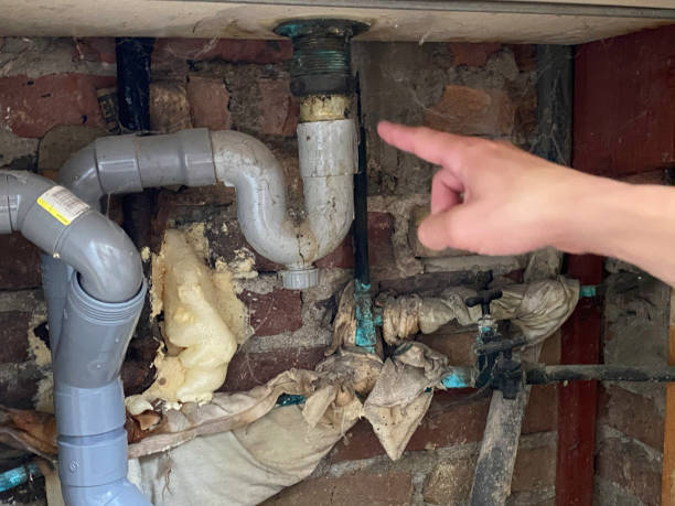 Best Mold removal after water damage  in Belmont, VA