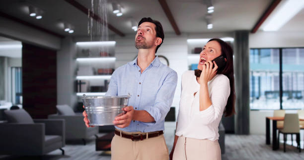 Best Carpet water damage restoration  in Belmont, VA