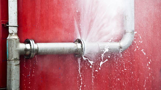 Best Water damage restoration near me  in Belmont, VA